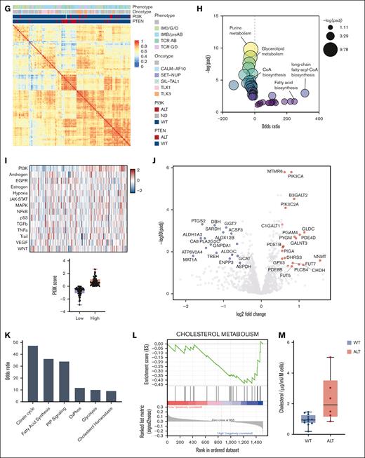 Targeted metabolic and transcriptomic analysis of patients-derived T-ALL cells. (A) Principal component analysis of 8 PDXs undergoing targeted metabolomic analysis. (B) Most upregulated and downregulated metabolites in PTEN-altered cases. (C-D) Heat maps of the most 50 deregulated metabolites (C) and pathways enriched in PTEN-altered patients (D). (E) Metabolic analysis of citrate, CoA, acetyl-CoA, glutamine, glutamate, α-ketoglutarate, palmitic acid, stearic acid, and oleic acid in the 8 PDXs shown in panel A. (F) Venn diagram for metabolites mostly changed in both PTEN-mutant mice and PTEN-altered PDX (P < .05). (G) Metabolic transcriptome-based clustering of 155 patients. (H) Pathway enrichment analyses based on the differential metabolic gene expression of PTEN-altered (n = 33) vs wild-type (WT; n = 122) patients determined using EnrichR. (I) PROGENy score computation from whole transcriptomics data from 155 patients. The median score of the series was used to stratify patients into high- and low-score groups. (J) Volcano plot depicting differentially expressed metabolic genes in high vs low PI3K score. (K-L) Enriched metabolic gene sets enrichment in high vs low PI3K score as determined by GSEA. (M) Intracellular levels of cholesterol in WT or altered PI3K signaling T-ALL PDX blasts. Adj, adjusted; ADP, adenosine diphosphate; ALT, altered; CDP, cytidine diphosphate; FDR, false discovery rate; GSEA, gene set enrichement analysis; GDP, guanosine diphosphate; GTP, guanosine triphosphate; ns, not significant; PIP, phosphatidylinositol; tRNA, transfer RNA; UDP, uridine diphosphate.