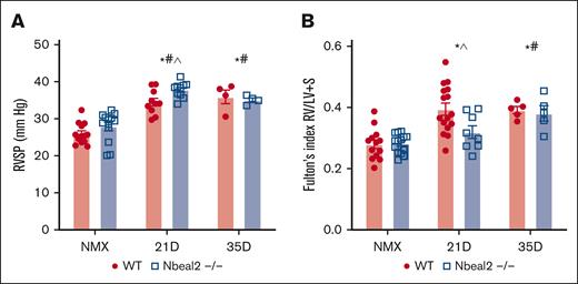 Hypoxia-induced increase in RVSPs was similar in WT and Nbeal2−/− mice; hypoxia-induced RVH was delayed in Nbeal2−/− mice. (A) RVSP increased in hypoxic WT and Nbeal2−/− mice at days 21 and 35. At day 21, the hypoxia-induced elevation in RVSP was increased in Nbeal2−/− compared with WT mice. (B) At day 21, hypoxia-induced RVH was prevented in Nbeal2−/− mice. At day 35, hypoxia-induced RVH was similar between WT and Nbeal2−/− mice. Statistics: P ≤.05 by 2-way ANOVA with Tukey post hoc analysis. Comparisons: (∗) WT compared with WT baseline, (#) Nbeal2−/− compared with Nbeal2−/− baseline, (^) WT compared with Nbeal2−/−. NMX, normoxia.