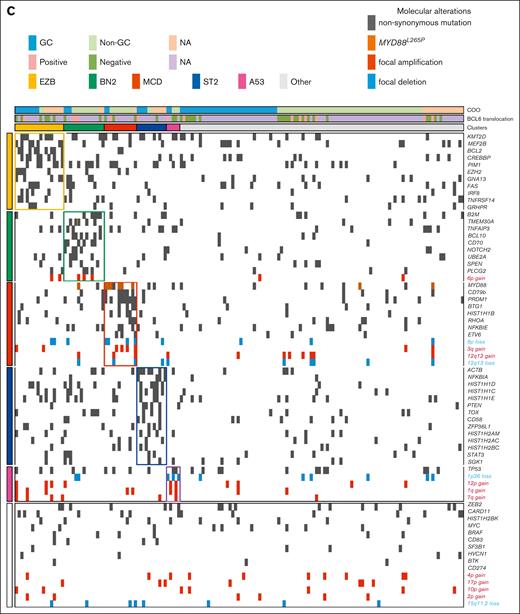 Molecular characterization of patients with DLBCL. (A) Case-level genomic profile of the 77 patients with DLBCL analyzed on ctDNA and on the tissue biopsy. Each column represents 1 patient and each row represents 1 genomic abnormality. Mutations identified on ctDNA are represented in gray, and mutations identified on the tissue biopsy are red. (B) Sankey plot showing the comparison of the assignment of each molecular cluster in the tissue biopsy and on ctDNA. (C) Case-level genomic profile of the 166 DLBCLs analyzed on ctDNA. Each column represents 1 patient and each row represents 1 genomic abnormality. Cell of origin (COO) and/or molecular clusters are plotted above each heat map. GC, germinal center; NA, not available.