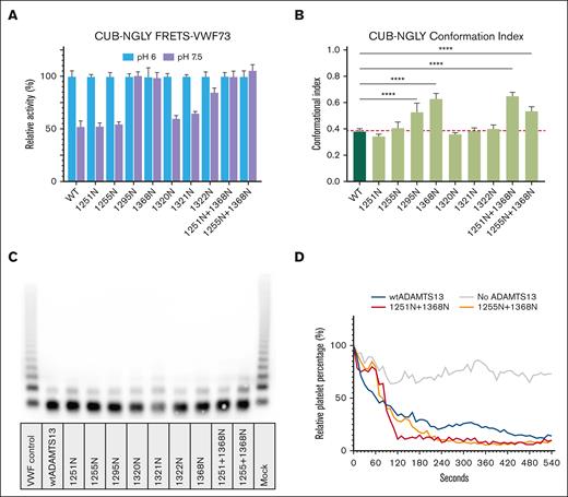 Functional characterization of CUB-NGLY variants. (A) FRETS-VWF73 activity (mean ± standard deviation, n = 3) of CUB-NGLY variants at pH 6 and pH 7.5. All activity values are relative to the activity of the variant at pH 6. (B) Conformation index of CUB-NGLY variants. Index is ratio of ADAMTS13 bound to the ELISA in the absence of 17G2 (an activating antibody) divided by amount of ADAMTS13 in the presence of 17G2 (n = 3). Significance was determined using ordinary 1-way analysis of variance using a Dunnett multiple comparison test, with a single pooled variance. ∗∗∗∗P < 0.0001. (C) VWF-multimer assay of wtADAMTS13 and CUB-NGLY variants. (D) Activity of wtADAMTS13 and CUB-NGLY variants under flow (n = 2). Platelet number percentage is relative to the number of platelets counted in the first frame.