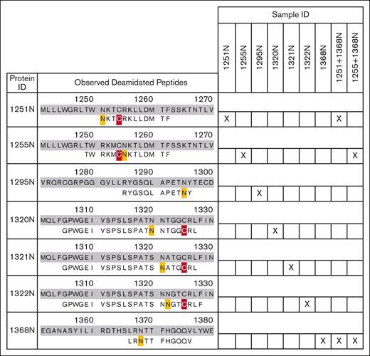 Observed deamidated peptides for each CUB-NGLY variant. Identified peptides are aligned with the amino acid sequences of the respective mutant. Deamidated residues are marked yellow and carboxymethylated residues are marked red. Right panel shows the CUB-NGLY variants for which the peptide was observed.