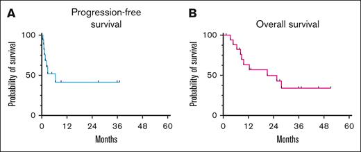 Survival outcomes in the trial. PFS (A) and OS (B).