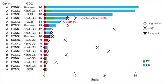 Swimmer plot. PR, partial response.