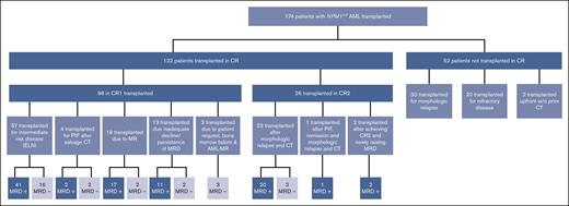 CONSORT diagram showing the number of patients depending on their remission status. CR defined as <5% blasts in bone marrow. AML-MR, acute myeloid leukemia-myelodysplasia related; CT, chemotherapy; MR, molecular relapse; PIF, primary induction failure.