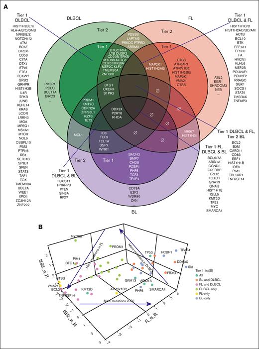 Overlaps and contrasts between the 3 gene lists. (A) A modified Venn diagram illustrating the intersections between the DLBCL, FL, and BL gene lists with nested circles representing the Tier 1 and Tier 2 genes for each entity. When not all genes in a group can be shown because of space limitations, these lists end in an ellipsis. Tier 3 genes are excluded to simplify the figure. Representative genes in each intersection are shown but re not exhaustive for the larger intersections. Intersections sharing no genes are denoted with the “∅” symbol. (B) A 3-dimensional plot showing the relative enrichment of mutations in each entity relative to the other 2. Each axis represents the log (odds ratio) from a Fisher exact test comparing the 2 entities indicated on that axis. For example, the DLBCL vs BL dimension is based on the relative incidence of mutations in these genes in a large collection of DLBCL and BL tumors. The points represent a selection of representative genes from the Tier 1 intersections from the Venn diagram. Points are colored according to the gene list(s) in which they reside. The 3 arrows indicate the location of points with relative enrichments in each of the entities. Most of the DLBCL and BL genomes used for this analysis were described in our recent study.54 Additional DLBCLs and FLs were originally sequenced as part of the ICGC malignant lymphoma (Germany) MALY-DE project,20 a Genome Canada-funded project in BC Cancer,49,64 or the Burkitt Lymphoma Genome Sequencing Project.12 The DLBCL exomes largely from the study by Schmitz et al,5 Chapuy et al,6 Lohr et al,22 and our previous studies.34,64