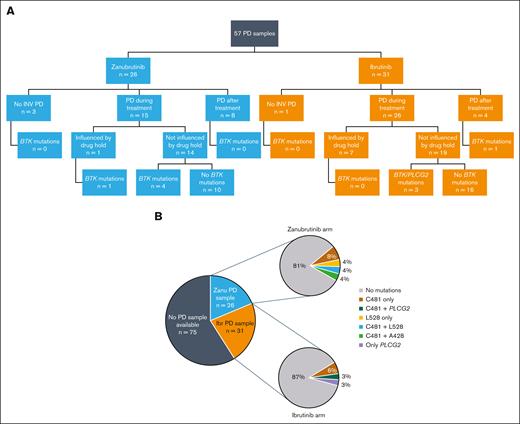 Sample and mutation distribution of patients with PD as assessed by INV. PD samples for each study cohort (A), with BTK and/or PLCG2 mutation distribution (B). Ibr, ibrutinib; Zanu, zanubrutinib.