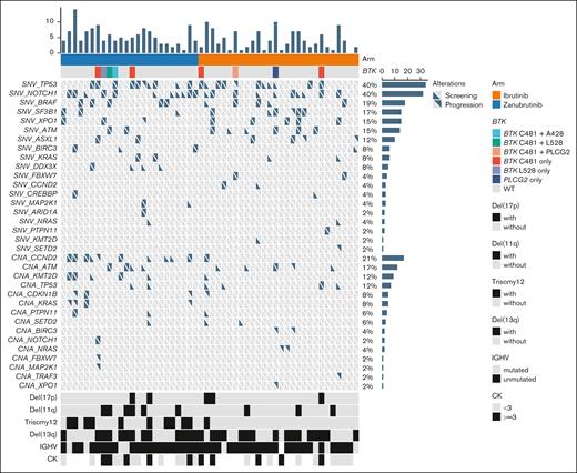 Driver gene alterations by treatment arm. CK, complex karyotype; CNA, copy number aberration; SNV, single-nucleotide variant; WT, wild type.