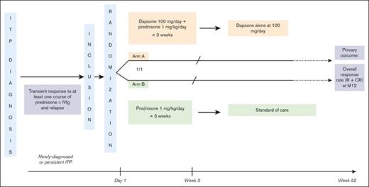 Experimental plan of DAPS-ITP RCT. Eligible patients randomized to arm A received dapsone at 100 mg per day in combination with prednisone at a daily dose of 1 mg/kg for 2 weeks, then tapered, and stopped over 1 week for a total of 3 consecutive weeks. After prednisone withdrawal, patients in this arm continued to receive dapsone at the same dose for a total of 12 months unless they did not respond to treatment or in case of a dapsone-related AE graded ≥3. In that case, patients were classified as nonresponders and the subsequent treatment was chosen by the investigator at his/her discretion based on standard of care. Patients randomized to arm B received prednisone alone at a dose of 1 mg/kg per day for 2 weeks, then tapered, and stopped over a week for a total duration of 3 consecutive weeks. After this 3-week period, patients in arm B remained untreated and were monitored. In case of relapse, patients were classified as nonresponders and the subsequent treatment was chosen at the investigator’s discretion based on standard care. M12, Month 12; R, response; CR, complete response.