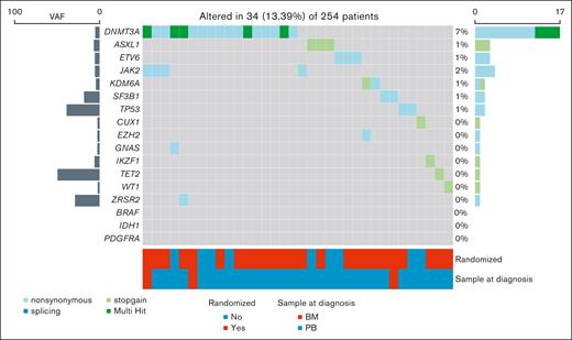 Overview of M-CH mutations detected at MCL diagnosis. M-CH mutational landscape of patients with an available sample at MCL diagnosis. M-CH mutations were detected at baseline in 34 of 254 patients (13.4%).