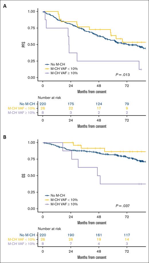A 10% M-CH VAF cutoff identifies patient with different PFS and OS. (A) PFS. (B) OS.