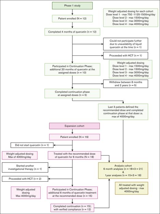 Study population enrolled and duration of protocol treatment. In dose-finding phase, 12 patients received oral quercetin twice a day for 4 months (16 weeks). An optional 20-month continuation phase at the assigned dosing was offered to those who wished to continue after completion of the first 4 months. In expansion cohort, 18 patients were treated with quercetin for 6 months at the recommended weight-adjusted dose identified in the dose-finding phase 1 study. Those who wished to continue quercetin beyond 6 months were treated for an additional 6 months for a total of up to 1 year. In analysis cohort, 21 patients (last 3 patients from the phase 1 cohort and 18 from the expansion cohort) treated with quercetin at the recommended dosing were included in this cohort. Max, maximum.
