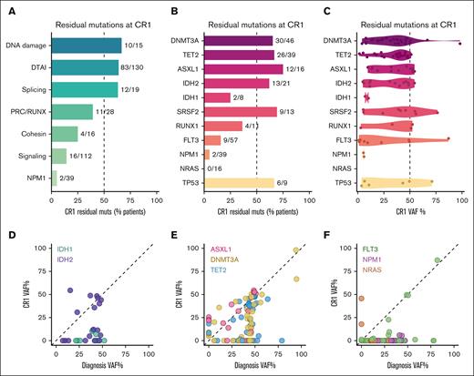 Muts associated with CH are persistent at remission. (A) Bar plot depicting the percentage of muts identified in diagnosis that were also identified at CR1. Numbers to the right of each bar indicate the proportion of variants initially found at diagnosis that were subsequently detected at CR1. Genes are grouped into their relevant biological categories as follows: DNA damage (TP53, ATM); DTAI (DNMT3A, TET2, ASXL1, IDH2, and IDH1); splicing (SRSF2, U2AF1, and ZRSR2); PRC/RUNX (BCOR, BCORL1, RUNX1, and EZH2); cohesin (SMC1A, RAD21, and STAG2); and signaling (CSF1R, FLT3, NF1, KRAS, NRAS, BRAF, KIT, PTPN11, JAK2, CSF3R, and CBL). (B) As in panel A, but individual genes are shown. (C) Violin plot of VAFs for persistent variants at CR1. (D-F) Scatterplot detailing patient-matched VAFs at diagnosis (x-axis) and CR1 (y-axis) for (D) IDH1 and IDH2; (E) DNMT3A, TET2, and ASXL1; and (F) FLT3, NPM1, and NRAS. Each point represents 1 variant in a specific patient, matched across time. DTAI, DNMT3A, TET2, ASXL1, IDH1/2; PRC, polycomb repressive complex.