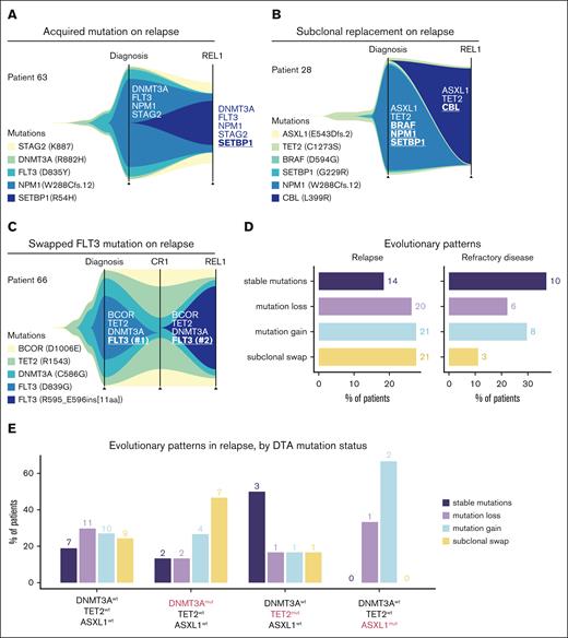 Patterns of AML genomic evolution from diag to REL. (A-C) Fish plots detailing the expansion and contraction of specific variants within individual patients from diag to REL. (D) Classification of evolutionary patterns at the time of REL (left) or REF disease (right) across the entire cohort. (E) Bar plot detailing the type of REL patterns observed in patients jointly stratified by DNMT3A, TET2, and ASXL1 mut status.