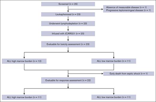 Patient flow diagram. HMB: >5% blasts in BM before LD chemotherapy by morphology or MFC; LMB: ≤5% blasts in BM before LD chemotherapy.
