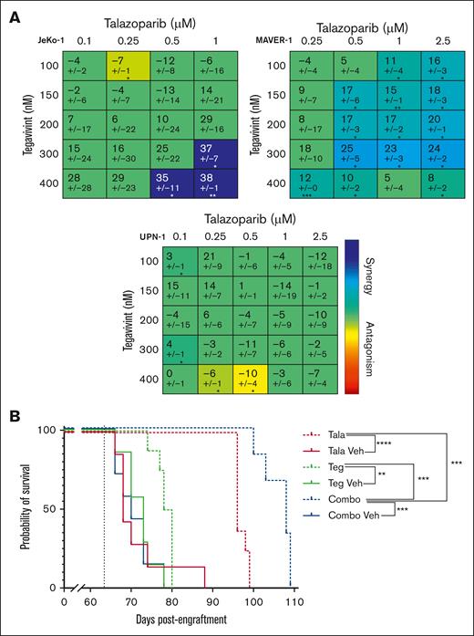 Tegavivint with PARP inhibitor talazoparib is an effective combination against MCL in vitro and in vivo. (A) MCL cell killing activity of the combination of tegavivint plus talazoparib in vitro in MCL cell lines, JeKo-1, UPN-1, and Maver. Matrices display calculated Loewe additivity scores ± standard deviation from dose concentration combinations of tegavivint and talazoparib viability studies. Matrices are color-coded; blue indicates synergistic cell killing; red, antagonism; and green represents dose combinations for which additive effect was found. Cells were treated with the indicated concentrations of talazoparib, tegavivint, and/or DMSO control, and cell viability was determined by acridine orange (AO) and propidium iodide (PI) staining and Nexcelom Cellaca cell counter. Combenefit was used to generate isobologram analyses and determine synergism (Loewe additivity model).34 (B) Kaplan-Meier plot showing OS in an MCL PDX mouse model treated with tegavivint (30 mg/kg, IV via tail vein, twice weekly) and/or talazoparib (0.33 mg/kg, oral gavage, once daily for 5 days per week), or the relevant VC. Note: because of tail edema, all treatments were discontinued on day 63 (indicated on plot with black dotted line). Mean OS was 73 days for the tegavivint VC cohort (n = 7), 68 days for talazoparib VC (n = 7), 70 days for combination VC (n = 7), 79 days for tegavivint (n = 8), 96 days talazoparib (n = 8), and 108 days for combination (n = 6). P values were calculated by the log-rank Mantel-Cox test. Tala, talazoparib; Teg, tegavivint; Veh, vehicle control. ∗P < .05; ∗∗P < .01; ∗∗∗P < .001; ∗∗∗∗P < .0001.