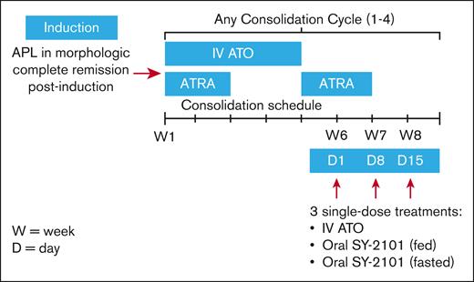 Single-dose PK module schema.