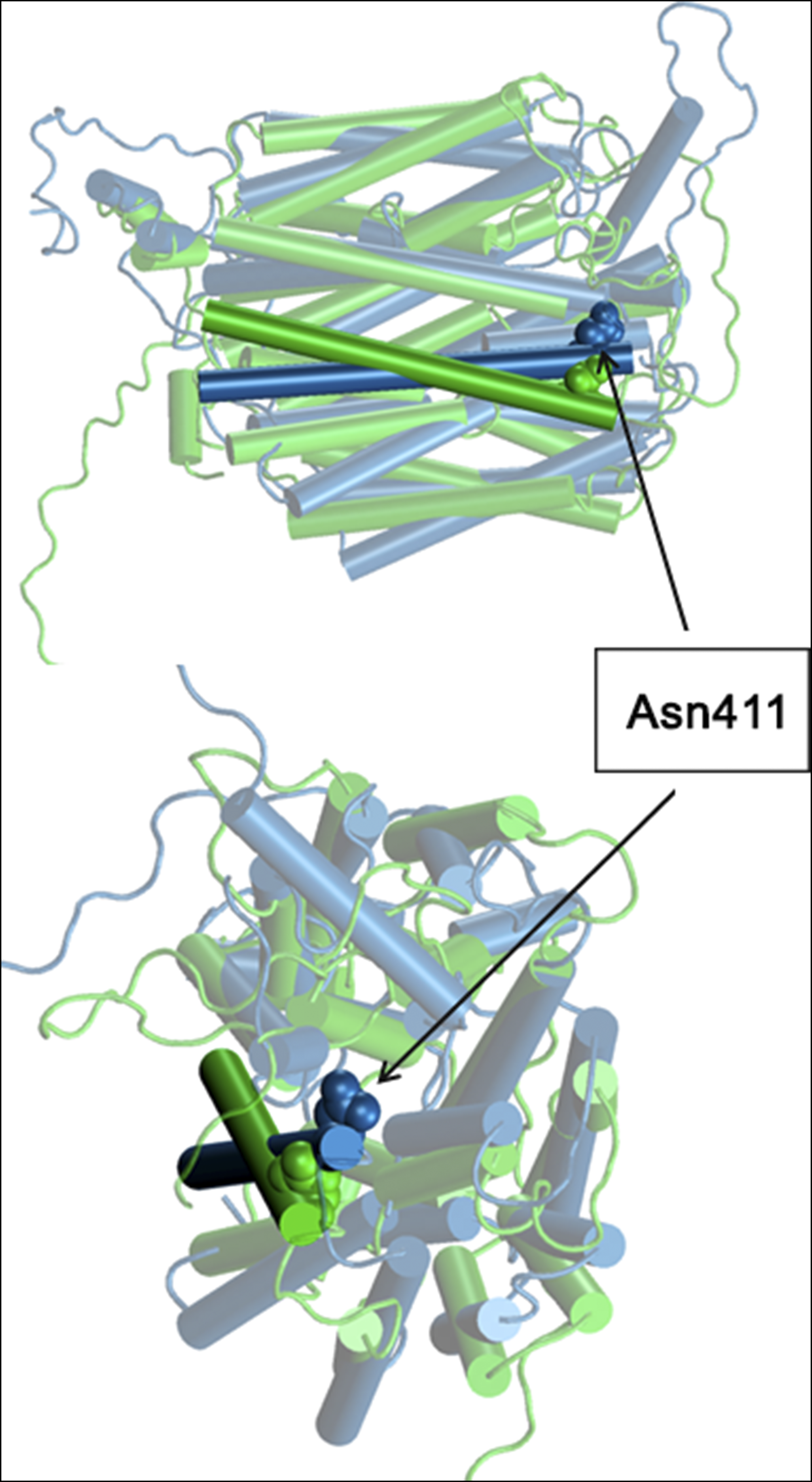 issue cover