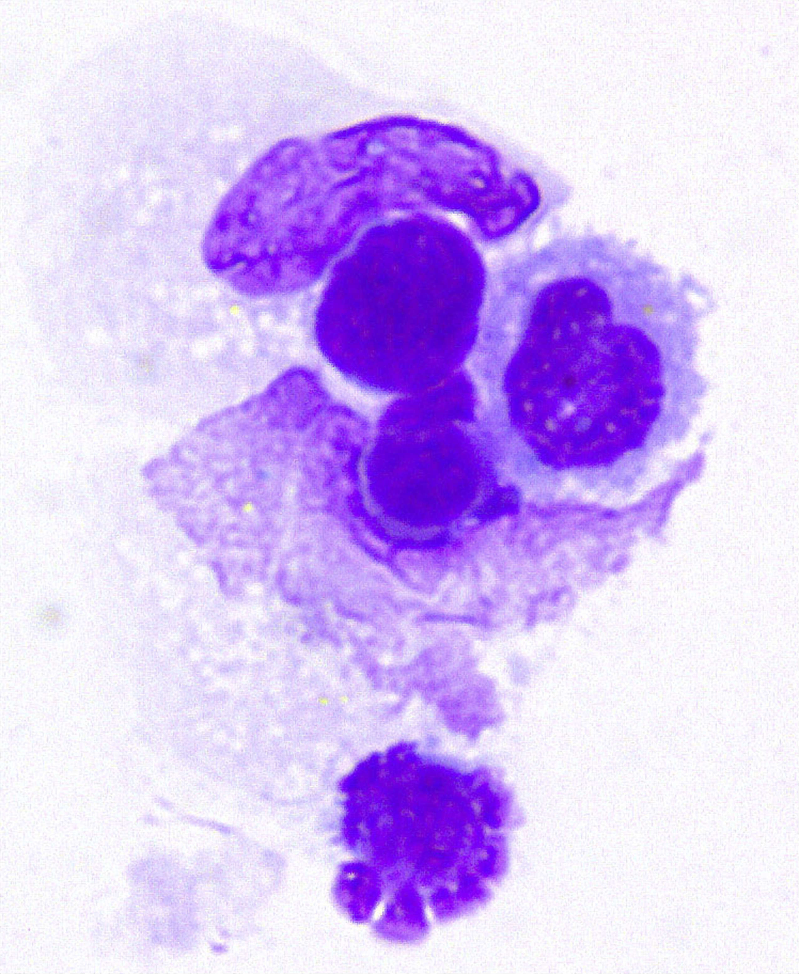 issue cover