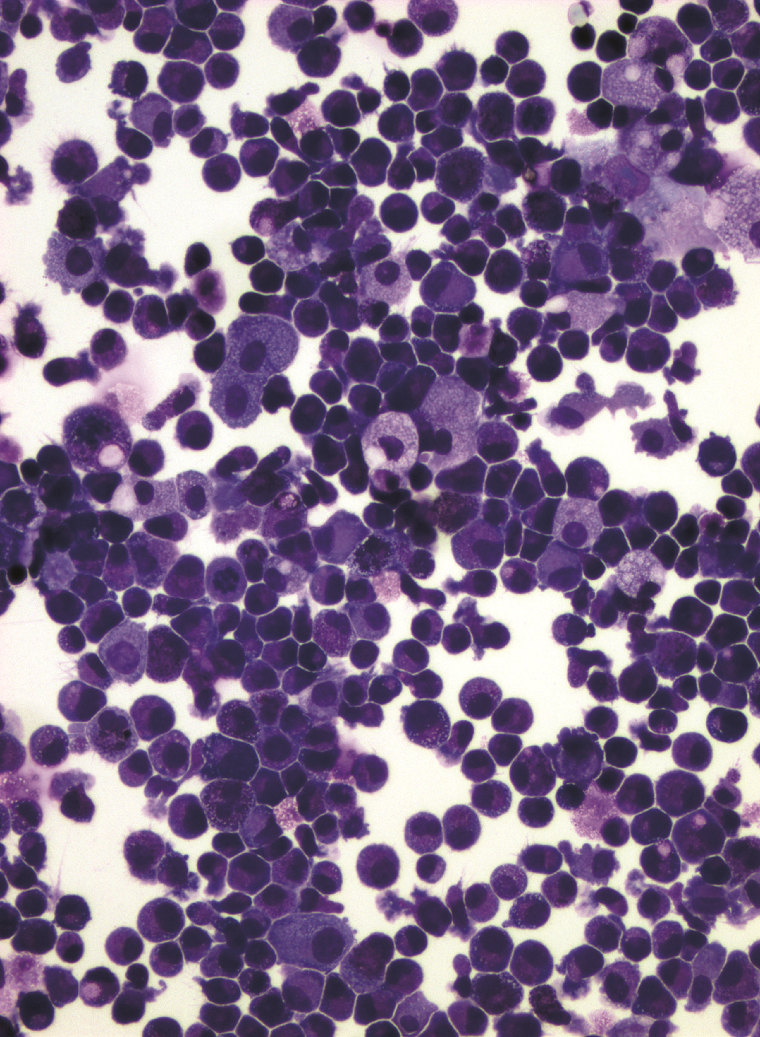 issue cover