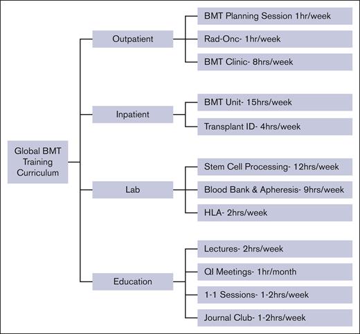 Curriculum structure of UIC GlobalBMT training. Rad-Onc, Radiology-Oncology; QI, quality improvement.