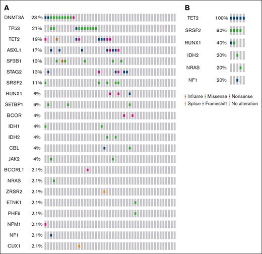 Genomic alterations. OncoPrint showing the distribution of genomic alterations in patients with MDS (A) and patients with CMML (B). The mutational frequency of each gene is labeled on the left.32,33
