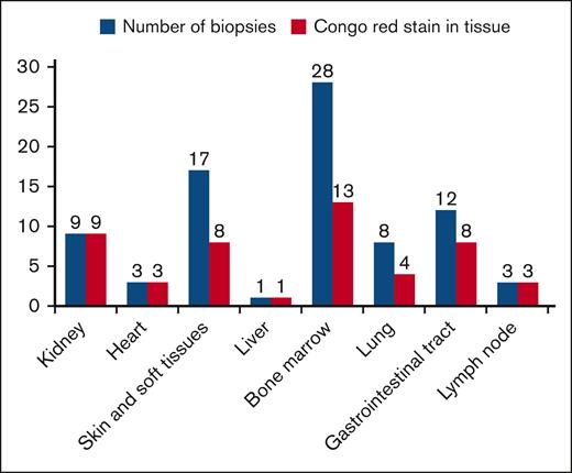 Histopathological studies carried out in different tissues and the positivity for Congo red in each of these.