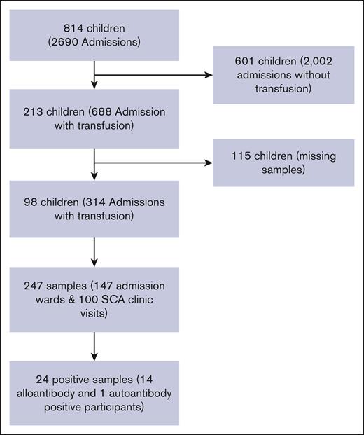 Flow diagram for recruited participants.
