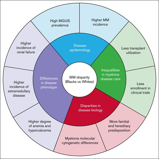 Existing racial disparity in MM. Inner circle represents primary factors, and the outer cycle represents secondary factors of existing racial disparities between Black and White patients with MM.