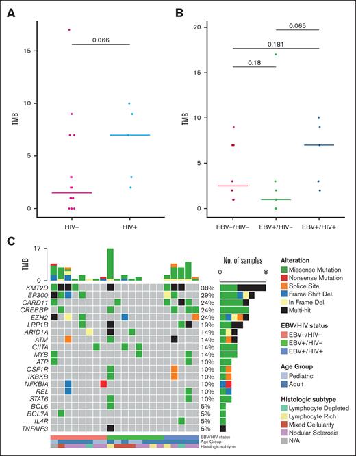 Mutational profile of cHL. (A) TMB of cHL-associated genes by HIV status. (B) TMB of cHL-associated genes by EBV/HIV status. TMB is calculated as the number of total mutations per sample. Horizontal lines represent group median, and P values calculated by Wilcoxon rank-sum test. (C) Oncoplot of curated panel of cHL-associated genes. Oncoplot is grouped by EBV/HIV status, and colors represent type of mutation. N/A, not available.
