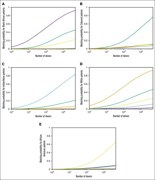 Full match (10/10) MPs for various combinations of donor and patient populations. (A) Black African patients. (B) Coloured patients. (C) Indian/Asian patients. (D) White patients. (E) African American patients. Purple reprents Black African donors; green, Coloured donors; blue, Indian/Asian donors; orange, White donors; and yellow, African American donors.