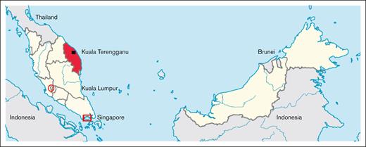 Map of Malaysia (yellow) in Southeast Asia straddling the South China sea, bordering Indonesia to the south and Thailand to the northwest. The state of Terengganu, Malaysia (red) is located on the eastern coast of the Malaysian peninsula. The capital of the state is Kuala Terengganu (▪), and the capital of Malaysia is Kuala Lumpur (O), Singapore (□) is located at the southern tip of the Malaysian peninsula. Map reproduced with modification from Wikipedia16 with permission.