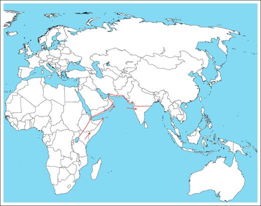 A map showing the possible migration route of people with SCD from Africa to India.