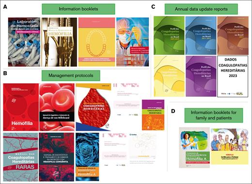 Educational documents available for health care professionals, patients, and families. Educational documents were produced and provided by the Brazilian IBD program, and include (A) booklets about different aspects of IBD care for health care professionals, (B) guidance and treatment protocols, (C) annual data reports about the IBD, and (D) booklets and leaflets with information for patients and family members, among others.