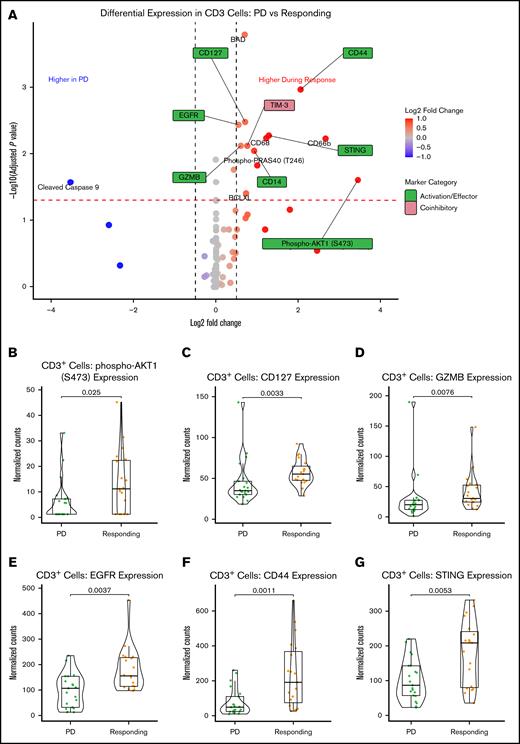 Treatment with SEL-based regimens induced the expression of T-cell activation markers in responding compared with relapsed samples. (A) Volcano plot shows the differential expression of all assessed proteins in CD3+ T cells comparing post-SEL treatment samples taken at the time of PD vs a period of clinical response. Normalized expression levels of pAKT1 (B), CD127 (C), granzyme B (D), CD44 (E), EGFR (F), and STING (G) showed significant upregulation in samples from patients responding while on treatment compared with those at time of relapse (PD). GZMB, granzyme B.
