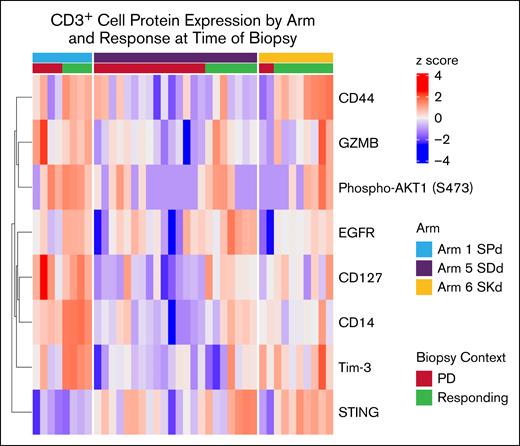 Differences in effects on CD3+ protein expression by SEL cotherapy and response status. Heat map shows z score–scaled normalized expressions of the indicated proteins in each posttreatment sample (columns). Annotation tracks indicate the SEL combination therapy arm and patient response status at the time of biopsy. GZMB, granzyme B.