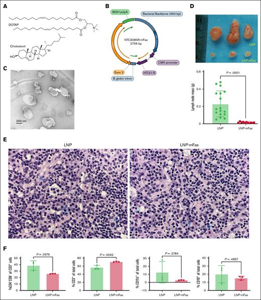 LNP-mFas gene therapy suppresses ALPS phenotype in mice. (A-C) DOTAP-Chol (A) and mouse Fas-encoding plasmid (B) were formulated at a 1:1 molecular ratio to produce LNP-mFas. The LNP-mFas was analyzed by scanning electric microscope (C). (D) The Faslpr mice were treated with LNP control (n = 3) and DOTAP-Chol–encapsulated mFas-encoding plasmid (LNP-mFas, n = 3) once every 2 weeks for 2 times. Shown are LN image (left panel) and quantification of LN weight (right panel). Ruler in mm scale. (E) Lymph nodes were collected from the control (LNP) and LNP-mFas–treated mice as shown in panel D and analyzed by histology. Shown are hematoxylin and eosin–stained sections (magnification x1000). Left panel: arrow points to plasma cells and circle indicates immunoblasts. Right panel: arrows point to plasma cells aggregated and included Mott cells. (F) Lymph node cells as shown in panel D were stained with the indicated antibodies and analyzed by flow cytometry.