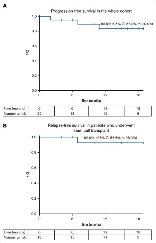 Clinical outcomes following treatment with the study protocol. (A) Progression-free survival in the whole cohort. (B) Relapse-free survival in patients who underwent stem cell transplant.