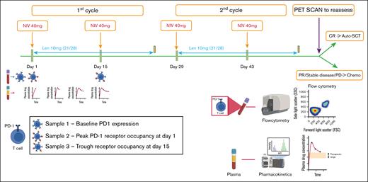 Trial schema for treatment protocol and sampling for PD-1 RO and pharmacokinetics. Each cycle lasted 28 days and comprised 2 infusions of nivolumab at a fixed 40 mg dose (NIV40) on days 1 and 15, and lenalidomide (LEN10) at a fixed dose of 10 mg from day 1 to 21. Samples for RO were collected at the following time points: before infusion of nivolumab (baseline PD-1 receptor status), 1 hour after infusion of first dose of nivolumab (peak PD-1 RO), and before infusion of second dose of nivolumab (trough PD-1 RO). For pharmacokinetics, plasma samples were obtained during the first cycle of therapy at the following time points: 1 hour after infusion of first dose of nivolumab (peak drug level), 5 days after infusion, 10 days after infusion, and at 14 days (before infusion of second dose of nivolumab, ie, trough drug level). Patients were re-assessed with FDG-PET 4 weeks after the fourth dose of nivolumab. CR, complete response; PR, partial response; PD, progressive disease.