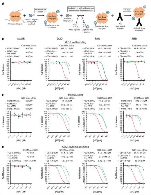SAv-drug conjugates yield CD45.2-ADCs that are cytotoxic against murine cell lines, primary HSCs, and primary AML cells. (A) Schema for production of SAv-drug conjugates and conjugation to biotinylated antibodies to produce ADCs. (B-D) Cytotoxicity assays of anti-CD45.2-ADC (biotinylated antibody plus SAv-drug conjugate), nb anti-CD45.2 plus free SAv-drug conjugate, or CD45.1-ADC (biotinylated isotype control plus SAv-drug conjugate) against (B) YAC-1 cells, (C) HSCs from B6 mice, and (D) AML1 primary leukemia cells (Dnmt3aR878H/+, FLT3-ITD+). Data points represent mean ± SEM of duplicate colony forming unit (CFU) plates (C) or triplicate wells (B,D) taken from 1 representative of at least 3 independent experiments. DBCO, dibenzocyclooctyne; IC50, 50% inhibitory concentration; SEM, standard error of the mean. nb, nonbiotinylated.