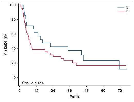 Kaplan-Meier curve comparing the PFS among patients who did not require (N) vs those who required (Y) an SCA. Time 0 is the date of iCAR-T. The median PFS was 7.33 months for the SCA and 16.56 months for the non-SCA cohorts (P = .22).