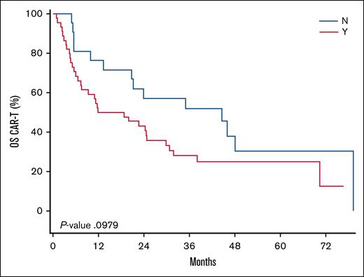 Kaplan-Meier curve comparing the OS among patients who did not require (N) vs those who required (Y) an SCA. Time 0 is the date of iCAR-T. The median OS was 15.34 months vs 44.62 months for the non-SCA cohort (P = .10).