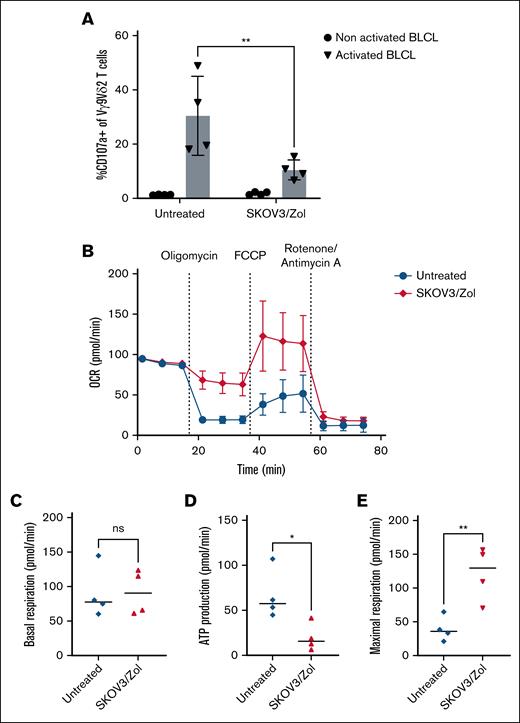 Decreased effector functions and altered metabolic profile of in vitro–exhausted Vγ9Vδ2 T cells. (A) Frequency (%) of CD107a among treated (right) vs untreated (left) Vγ9Vδ2+ T cells after coculture with Zol-presensitized (triangle) or nonactivated (round) BLCL. Effector-to-target ratio ratio (E:T) 1:1. (B) Monitoring of mitochondrial OCR, picomoles per minute of treated (red) vs untreated (blue) Vγ9Vδ2 T cells after a mitostress experiment over time. (C) Basal respiration (picomoles per minute) measured as the mean of the 3 values in the absence of substrate. (D) ATP production (picomoles per minute) calculated as the difference between the maximum value after injection of oligomycin and the basal respiration. (E) Maximal respiration (picomoles per minute) measured as the maximum value after FCCP injection; n = 4 donors. All statistical analyses were performed using 2-way analysis of variance (ANOVA) (panel A) or unpaired t tests (panels C-E) (∗P < .05; ∗∗P < .003; ∗∗∗P < .0005; ∗∗∗∗P < .0001). BLCL, B-lymphoblastoid cell line.