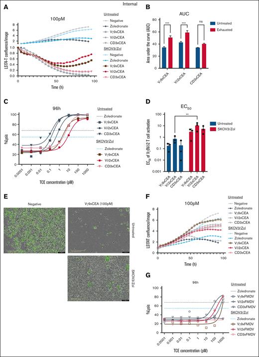 Exhausted Vγ9Vδ2 T cells are activated by bsFabs in the presence of CEA-expressing tumor cells. LS174-T cells are cocultured with exhausted Vγ9Vδ2 T cells (E:T ratio 5 :1) and Vγ9 (square), Vδ2 (round) or CD3 (triangle) x CEA (plain) or control FMDV (empty) TCEs. (A-F) Measure of the LS174-T cell confluence by green fluorescent protein (GFP) fluorescence intensity every 4 hour during 96 hour over the confluence at t = 0. Negative control is a coculture between Vγ9Vδ2 T and LS174-T cells without TCE (gray and light blue), Zol control is a coculture of presensitized LS174-T with Zol before contact with Vγ9Vδ2 T cells (black and blue). TCEs are at a 0.1-nM concentration. (B,D) Quantification of the Vγ9xCEA, Vδ2xCEA or CD3xCEA TCE concentration (nanomolar) allowing to produce 50% of the maximal observed reactivation (D) and the total reactivation over time expressed as the integrated response area under the curve (AUC) (B) of untreated (blue) or exhausted (red) Vγ9Vδ2 T cells. (C,G) Tumoral lysis percentage calculated after 96-hour coculture as the disappearance of GFP fluorescence at time t over GFP fluorescence at time t = 0. TCE concentration from 0.1 fM to 1 nM. (E) Image (Incucyte; scale, 400 μm) representing the LS174-T-GFP confluence without TCE (negative) or with Vγ9 × CEA (0.1 nM), untreated or exhausted Vγ9Vδ2 T cells. n = 3 donors. All statistical analyses were performed using 2-way ANOVA on either AUC (panels A-B) or calculated EC50 values (∗P < .05; ∗∗P < .003; ∗∗∗P < .0005; ∗∗∗∗P < .0001). ns, not significant.