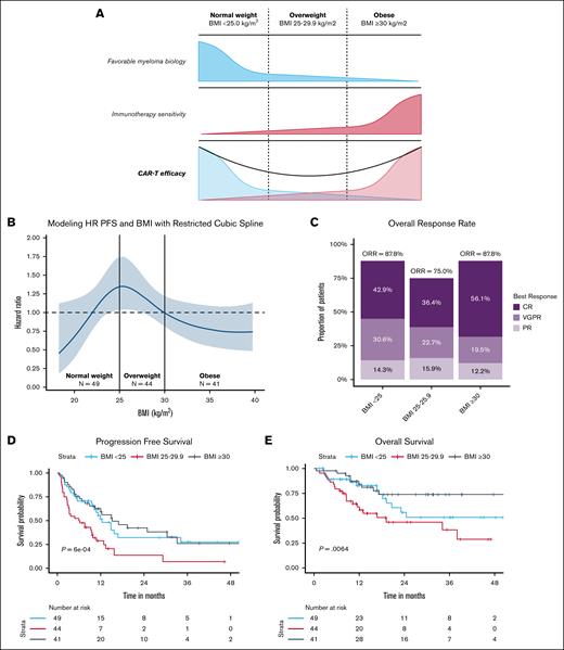 CAR T-cell responses separated by BMI. (A) Hypothetical model for relationship between BMI and CAR T-cell therapy outcomes. (B) A Cox proportional hazards model was used to evaluate the association between BMI and PFS. A cubic spline model with 3 degrees of freedom was applied to assess for the presence of a nonlinear relationship between BMI and PFS. The observed HR across the BMI range with 95% CI is shown. (C) Best objective response after CAR T-cell therapy shown for the normal weight (BMI < 25.0 kg/m2), overweight (BMI 25.0-29.9 kg/m2), and obese (BMI ≥ 30.0 kg/m2) groups. PFS (D) and OS (E) for the normal weight, overweight, and obese groups. CR, complete response; HR, hazard ratio; ORR, overall response rate; PR, partial response; VGPR, very good partial response.