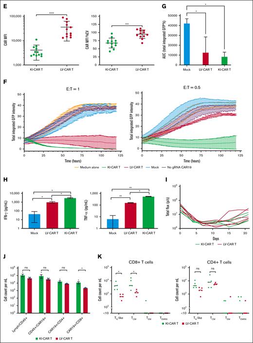 Targeted insertion of a CD19-specific CAR into the IL-2 gene-by-gene editing produces highly functional T cells in vitro and in vivo. (A-B) IL-2–sgRNA:Cas9-mediated cleavage of the human interleukin-2 (hIL-2) protein. The edited and control T cells after 3-day electroporation were treated with protein kinase C activator TPA and calcium ionophore A23187 for 45 minutes to induce IL-2 production, followed by the overnight addition of brefeldin A or dimethyl sulfoxide (control) to block IL-2 secretion before collecting supernatant and lysing the cells. Intracellular and supernatant IL-2 protein levels were detected by western blot (A) and ELISA (B). LV-CAR and KI-CAR T cells represent transduced and edited CAR T cells, respectively. Data are presented as mean ± standard deviation (SD) (n = 3; a paired t test). (C) A diagram of CRISPR/Cas9-targeted CAR19 gene integration into the IL-2 locus. Upper portion: sgRNA-targeting sequence (green), PAM sequence (red), ATG (underline), and a vertical arrowhead for cleavage site. Middle portion: the genomic organization of the human IL-2 gene with exons represented by boxes and coding domains (cyan). Lower portion: donor DNA sequence containing an LHA (white), a promoter (gray), 19BBζ CAR coding sequence, polyA, and RHA (cyan) sequence (supplemental Table 6). (D) Representative flow cytometry showing the kinetics of nonintegrated and integrated CAR expression from nanoplasmid-encoded CAR transgene. TransAct-stimulated T cells were transfected with nanoplasmids with or without the sgRNA-Cas9 complex, followed by flow cytometry for checking CAR expressions at days 3, 6, 10, and 13 postelectroporation. Flow cytometry analysis showed that nonintegrated CAR expression was eliminated on day 6, whereas integrated CAR expression remained detectable on day 10 postelectroporation. (E) CAR MFI and CAR CV of CAR+ T cells (n = 12 independent experiments). ∗P < .05; ∗∗P < .01; ∗∗∗P < .001; ∗∗∗∗P < .0001 (Welch's 2 samples t test). (F) The killing potential of the IL-2–targeted CAR (KI-CAR) T cells vs transduced CAR T cells (LV-CAR T) was evaluated using xCELLigence RTCA eSight. Cytotoxicity against green fluorescent protein (GFP)-expressing Nalm6-CD19 target cells was evaluated at effector-to-target ratios (E:T) of 1:1 and 0.5:1 as depicted in the figure. Unedited T cells (mock) and target cells with or without 0.1% Triton X-100 (100% lysis control) were used as controls. The percentage of target cell death was quantified based on the confluency of GFP-labeled target cells followed by CAR T-cell addition. (G) The percentage of target cell death was quantified using the AUC of GFP-labeled target cells following CAR T-cell addition. E:T ratio = 1:1. ∗P < .05, ∗∗P < .01, ∗∗∗P < .001, ∗∗∗∗P < .0001 Statistical significance was determined by repeated measures 1-way analysis of variance (ANOVA) with multiple comparisons (n = 3). (H) ELISA detection of IFN-γ and TNF-α in the cultured supernatants of CAR T cocultured with Nalm6-CD19 cells for 24 hours at an E:T ratio of 2:1. Data represent the mean ± SD of 3 independent donors. ∗P < .05; ∗∗P < .01; ∗∗∗P < .001; ∗∗∗∗P < .0001. Repeated measures 1-way ANOVA (multiple comparisons) (n = 3). (I) The evaluation of the antitumor efficacy of KI-CAR19 T cells in vivo using a mouse model of leukemia (Nalm6). The individual BLI intensity of Nalm6-LUC was determined for each mouse of KI-CAR19 and transduced CAR19 (LV-CAR T) groups (n = 5 mice per group). (J) The quantification of the total human CD45+, CAR+ T-cell, CD4+, and CD8+ T-cell subsets in the mice of the transduced or edited groups were assayed on day 14 after CAR T-cell infusion. The data are presented as mean ± SD (n = 5 mice per group). Groups were compared using paired t tests. (K) The quantification of TN (naïve), TCM (central memory), TEM (effector memory), and TEMRA (effector memory RA) cell subpopulations of the transduced or edited groups on day 14 after CAR T-cell infusion. The data are presented as mean ± SD (n = 5 mice per group). Groups were compared using the Mann-Whitney test. ATG, adenine-thymine-guanine; AUC, area under the curve; CV, coefficient of variance; hIL-2, human interleukin-2; IFN-γ, interferon gamma; KI-CAR T, knockin chimeric antigen receptor T-cell; LHA, left homology arm; MFI, mean fluorescence intensity; RHA, right homology arm; TNF-α, tumor necrosis factor α.