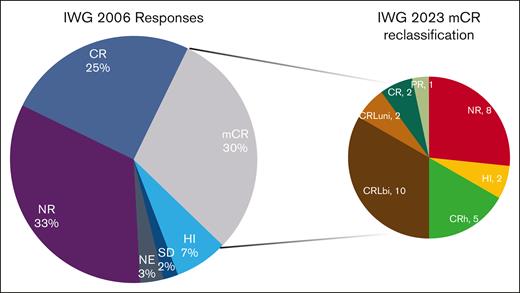 Reclassification of marrow complete responses. The left pie chart shows the IWG-2006 response rates. Patients with mCR were reclassified as shown in the right pie chart. Note the widely different distribution of responses from NR (8 patients) to CR (2 patients). NE, not evaluable; NR, no response.