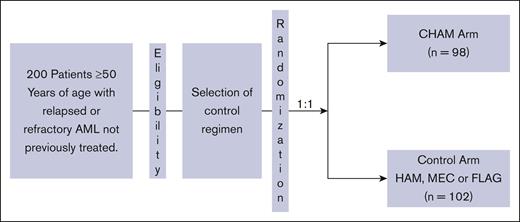 ARMADA 2000 trial schema.