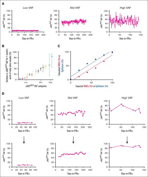 Fluctuations in daily JAK2V617F allele burden with and without ECC to calculate epithelial cell contamination. (A) dPCR–derived JAK2V617F VAF was measured in daily passive drool saliva samples from patients since starting IFN-α treatment. Patients had either the following initial VAFs: low (8%), mid (45%), or high (78%). (B) Plot of daily sample–derived JAK2V617F VAFs (mean with range) for 1 month, from 13 patients with MPN. Low = baseline VAF of <33%; mid = baseline VAF between 34% to 66%; high = baseline VAF of >67%. (C) Detection sensitivity curves for leukocytes and epithelium when bisulfite converting different amounts of mixed blood and epithelium control DNA. (r2 = 0.9525; P = .0009). (D) Corrected JAK2V617F VAF in patients treated with IFN-α using the ECC system, weekly VAF points before (top) and after (bottom) ECC correction of patients treated with IFN-α.