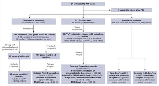 Schematic representation of analyses and sample sets used in the study. PCA, principal component analysis.