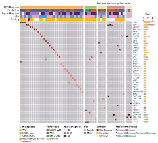 P/LP variants identified in patients with WM from 64 families. Oncoprint representation of 46 P/LP variants residing in 44 genes identified in 55 patients with WM. Variants are shown in rows, and patients are shown in columns. Clinical and demographic metadata are shown on the top of the table. Individuals from the same family are denoted by the same symbols (eg, circles, squares, triangles, etc) in the color-filled squares of the oncoprint. Color code for Count is the same as for LPD Diagnosis. Related B-cell disorder includes Hodgkin lymphoma, non-Hodgkin lymphoma and chronic lymphocytic leukemia. LPD, lymphoproliferative disease.